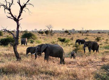 Kruger National Park