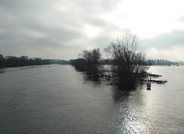 poland/warta-mouth-national-park/attraction/park-narodowy-ujscie-warty-wyspa-somera