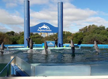 argentina/mar-del-plata/attraction/aquarium