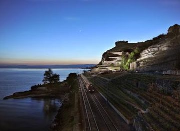 switzerland/lausanne/attraction/lavaux-vinorama