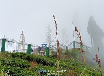 india/siliguri/attraction/city-centre-park