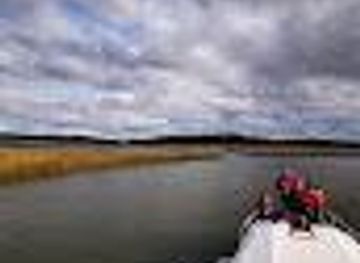 chile/valdivia/attraction/catrico-tour