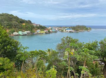 honduras/bay-islands/attraction/charlie-s-roatan-tours