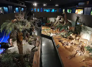 Muséum d'histoire naturelle