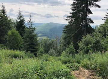 slovakia/muranska-planina-national-park/attraction/pramen-rimavy