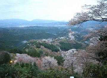japan/nara/attraction/yoshino