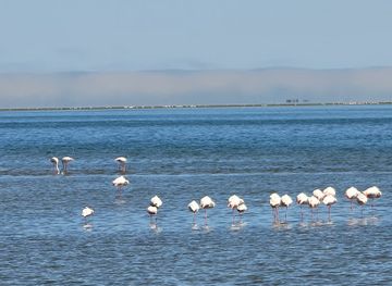 namibia/namib-naukluft-national-park/attraction/waterfront