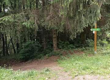 hungary/zalaegerszeg/attraction/azaleas-volgy-kijarat