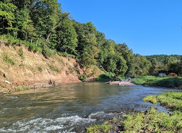 iowa/driftless-area/attraction/yellow-river-state-forest