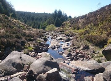 ireland/mourne-mountains/attraction/yellow-water-picnic-site