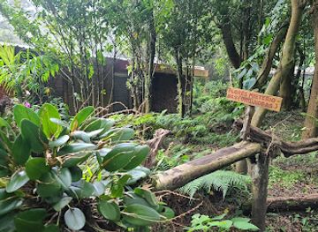 el-salvador/cerro-verde-national-park/attraction/cerro-verde-orchid-garden