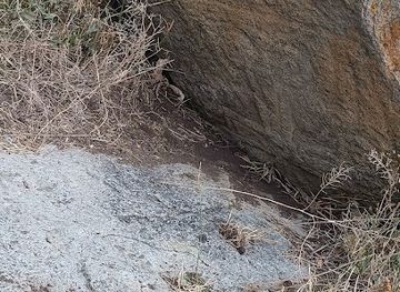 armenia/haghartsin-monastery/attraction/10