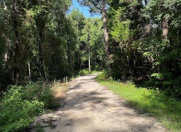 alabama/daphne/attraction/jackson-oak