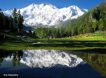 Natural beauty Of Goharabad Valley Diamer