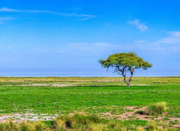namibia/etosha-village/attraction/salvadora