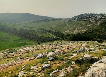 jordan/irbid/attraction/aldalma