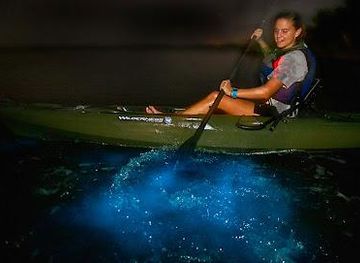 florida/orlando/attraction/a-day-away-kayak-tours