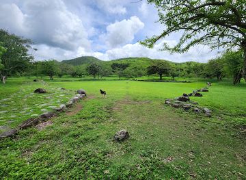 puerto-rico/ponce/attraction/tibes-indigenous-ceremonial-park