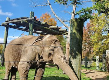 massachusetts/bristol-county/attraction/buttonwood-park