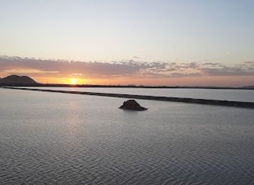 egypt/siwa-oasis/attraction/dar-kafoura-camp