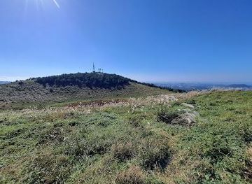 south-korea/jeju-city/attraction/geum-oreum