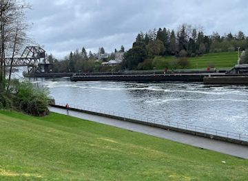 washington/olympic-national-park/attraction/ballard-locks-fish-ladder