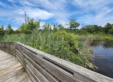 north-carolina/outer-banks/attraction/sandy-run-park