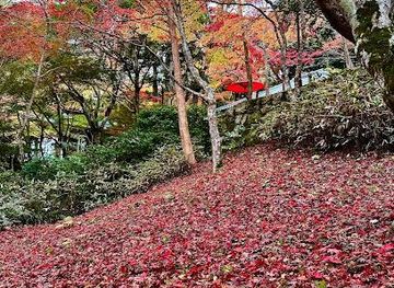 japan/osaka/attraction/zuihoji-park