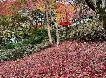 Zuihoji Park