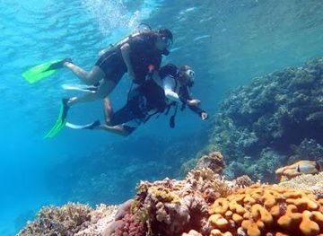 egypt/sharm-el-sheikh/attraction/pyramids-diving-center