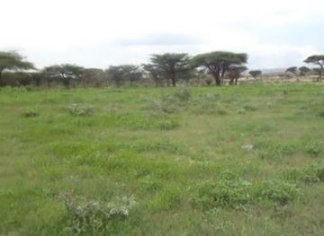 somalia/shimbiris-mountain/attraction/caduur