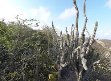 curacao/playa-grandi/attraction/seru-di-sabana-mountain-top