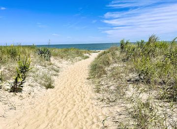 delaware/cape-henlopen-state-park/attraction/beach-plum-island-nature-preserve