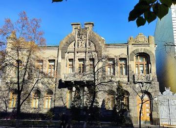 ukraine/kyiv/attraction/dim-plachuchoyi-vdovy