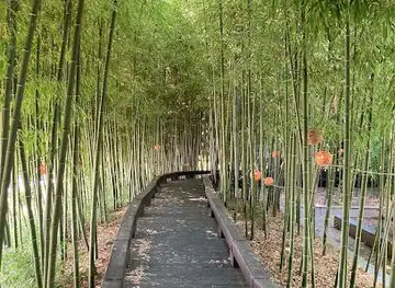 Korea Bamboo Museum