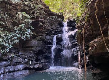 trinidad-and-tobago/asa-wright-nature-centre/attraction/sapphire-waterfall