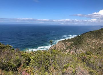 south-africa/tsitsikamma-national-park/attraction/bloukrans-mouth-ocean-trail