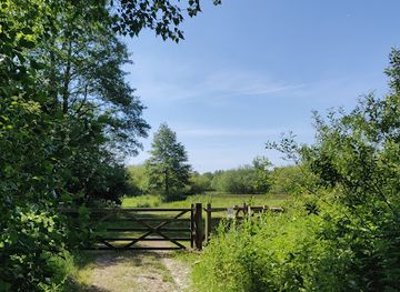 united-kingdom/southwold/attraction/darsham-marshes