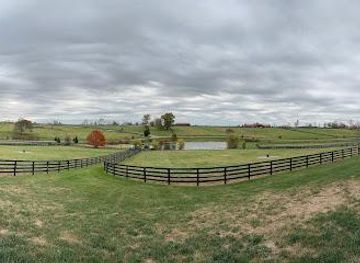 kentucky/elizabethtown/attraction/unique-horse-farm-tours