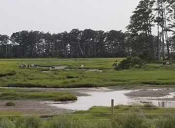 virginia/chincoteague-island/attraction/assateague-island