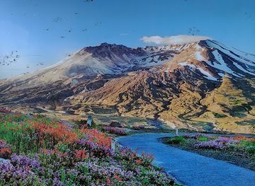 washington/mount-st-helens-national-volcanic-monument/attraction/hoffstadt-creek-bridge