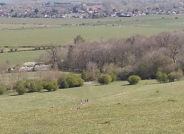 united-kingdom/oxfordshire/attraction/wittenham-clumps