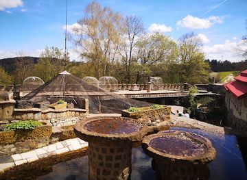 germany/taunus/attraction/vogelburg