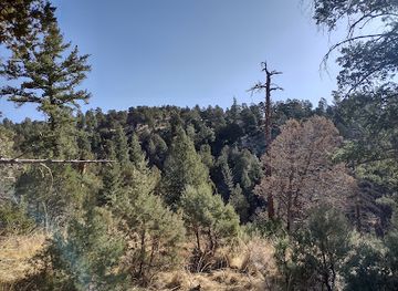 new-mexico/ruidoso/attraction/perk-canyon-trailhead