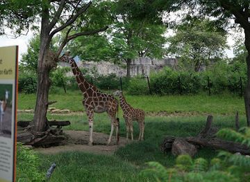 indiana/morgan-monroe-state-forest/attraction/indianapolis-zoo