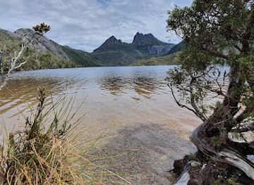 australia/tasmania/attraction/pencil-pine-falls