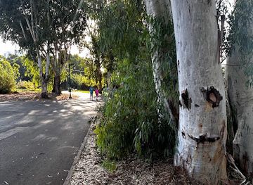 israel/ramat-gan/attraction/the-smiling-tree
