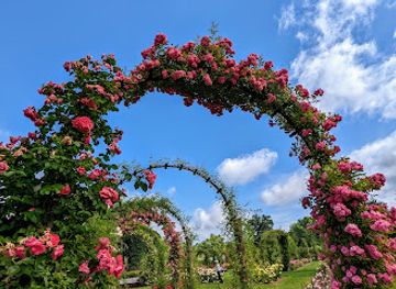 connecticut/hartford-county/attraction/elizabeth-park-rose-garden