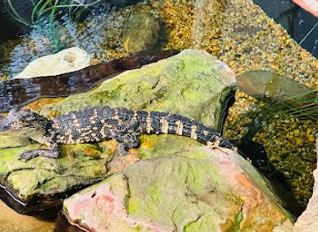 louisiana/shreveport/attraction/camp-aqua