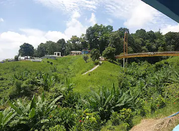 Alutila Guha